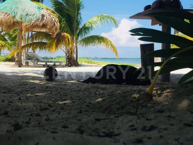 Siaan Kaan Reserva de la Biosfera Tulum