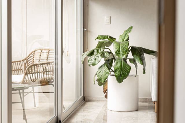 Departamentos de lujo en la mejor ubicación de Cancún AF0325