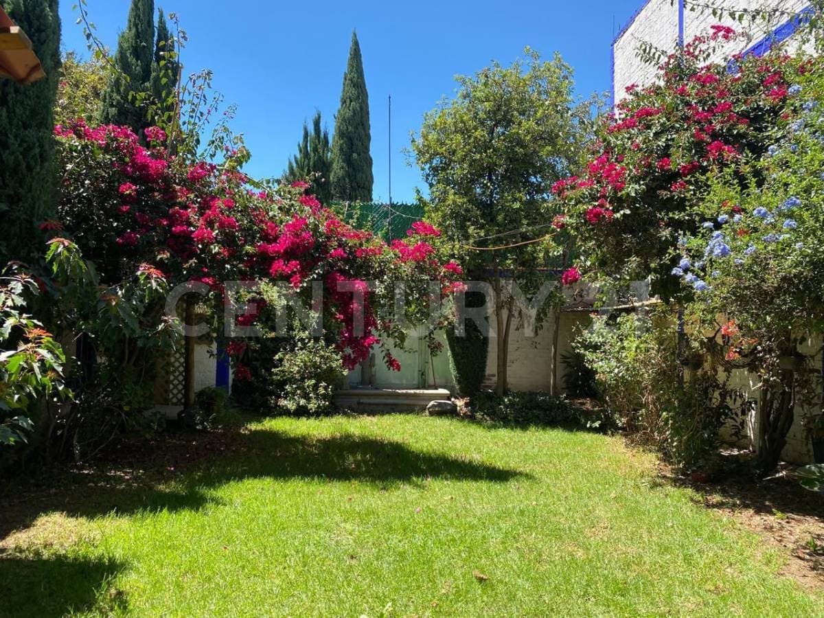 Fotos adicionales