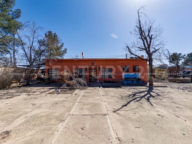 TERRENO EN VENTA EN COLONIA PALESTINA CHIHUAHUA, CHIH.