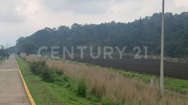 TERRENO DE 5HA HABITACIONAL EN VENTA EN LA ALCALDÍA TLALPAN, CDMX
