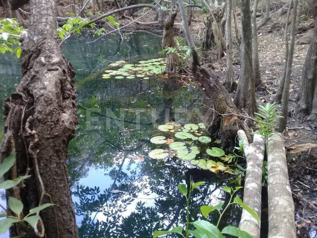 Venta Terreno Ruta de Cenotes Puerto Morelos OFC2825