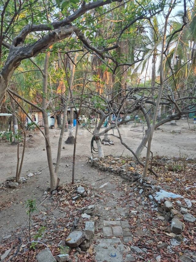 Terreno de 706 metros, ubicado en Pitillal Centro