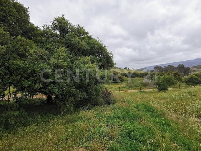 TERRENO EN VENTA EN EJIDO URUAPAN, ENSENADA, BAJA CALIFORNIA