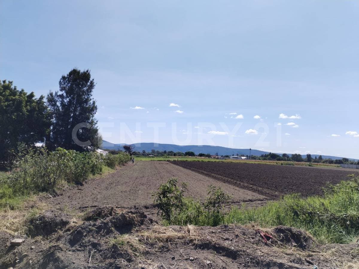Fotos adicionales