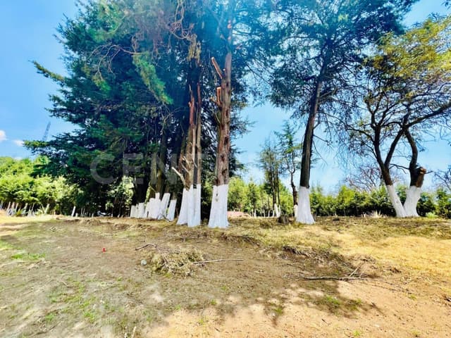 EXCELENTES TERRENOS EN VENTA EN SAN MIGUEL TOPILEJO, TLALPAN, CDMX