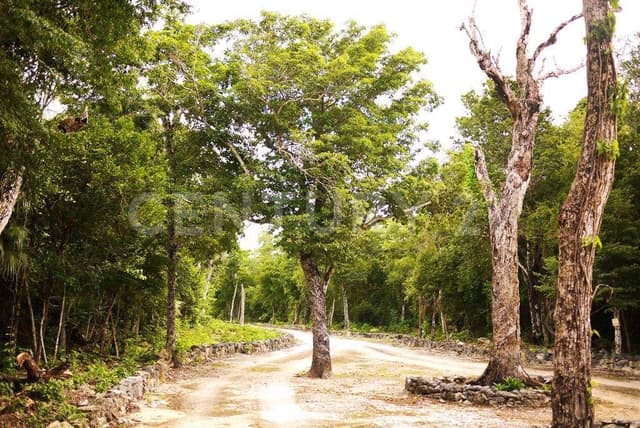 MZA 08 LOTE 06 y 07 CHEMUYIL