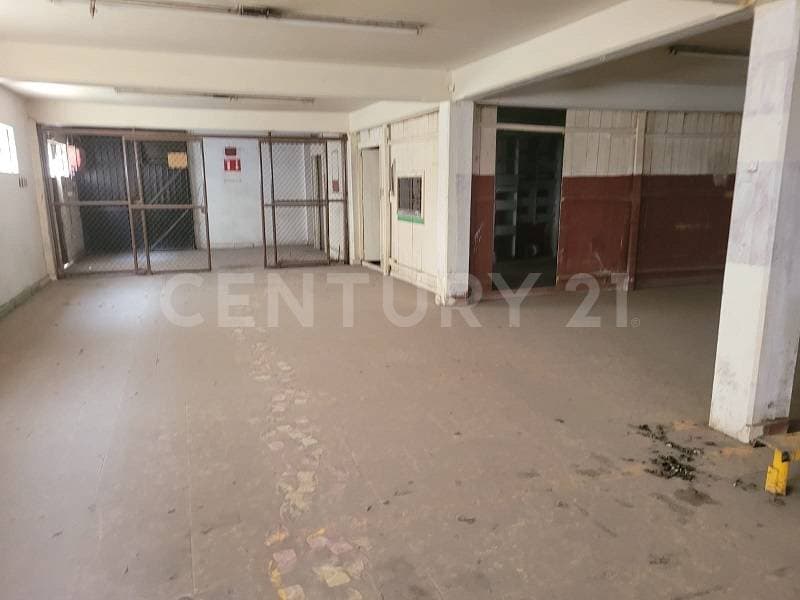 Fotos adicionales