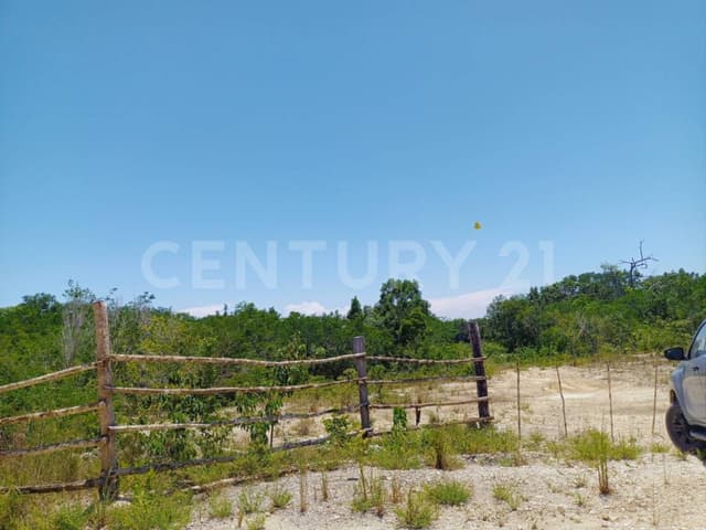 Terrenos de Inversión en Playa del Carmen
