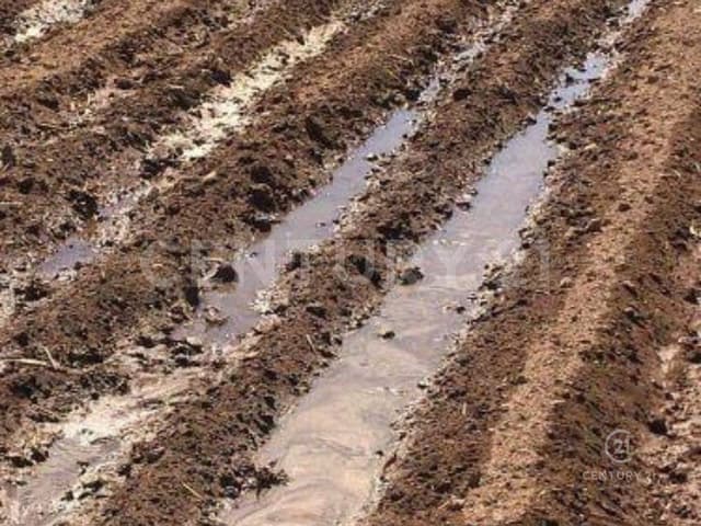 TERRENO EN VENTA EN TALAMANTES, CD DELICIAS, CHIH.