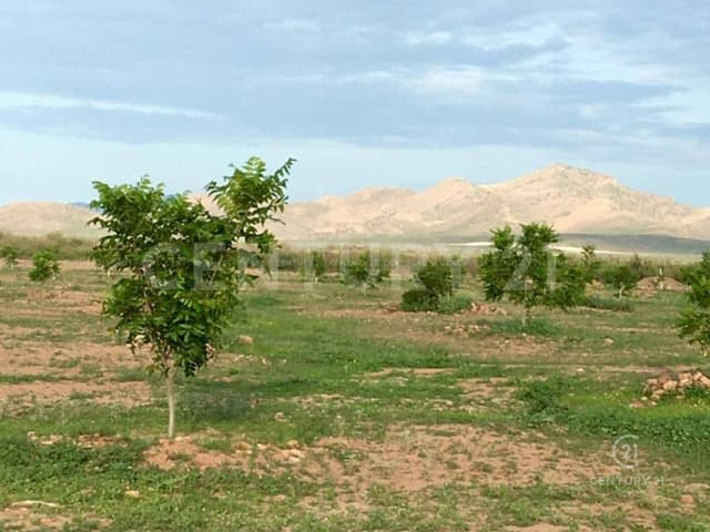 TERRENO EN VENTA EN TALAMANTES, CD DELICIAS, CHIH.