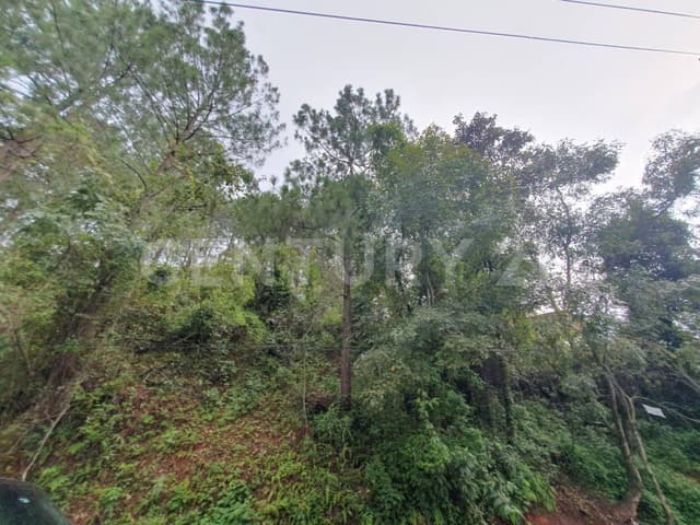 TERRENO EN EL CLUB DE GOLF AVÁNDARO