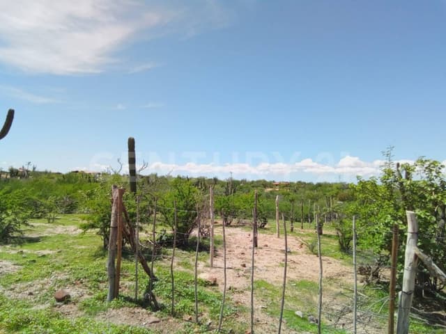 TERRENO CAMPESTRE EN LOMAS DE SAN PEDRO