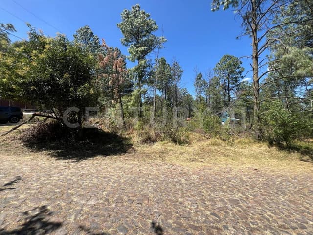 Terreno Campestre en Venta en San José de los Encinos Amealco