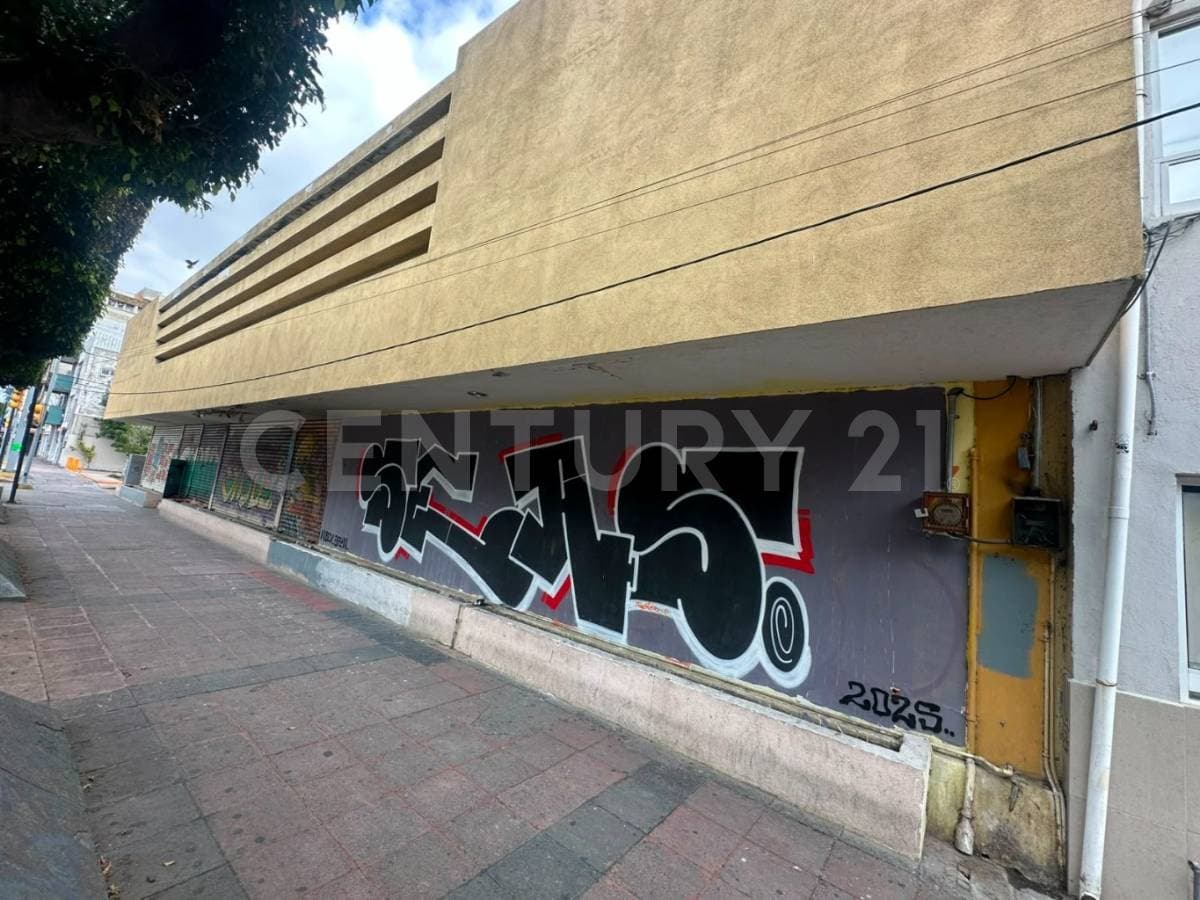 Fotos adicionales