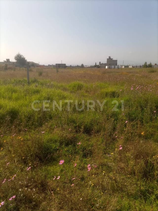 VENTA DE TERRENO EN COL. BARBABOSA, ZINACANTEPEC, MEX