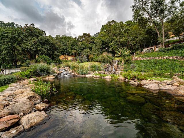 TERRENO CON HUMEDAL Y PLAYA EN EL COPORITO, VALLE DE BRAVO.