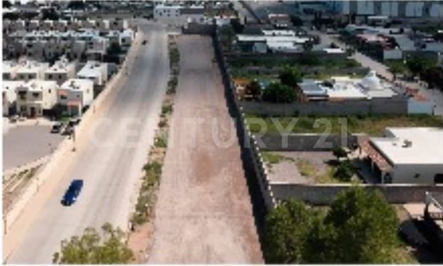 TERRENO EN VENTA EN ARBOL DE HIERRO, CHIHUAHUA