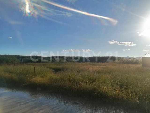 TERRENO EN VENTA COL. TIERRA NUEVA EN CD. CUAUHTEMOC, CHIHUAHUA.