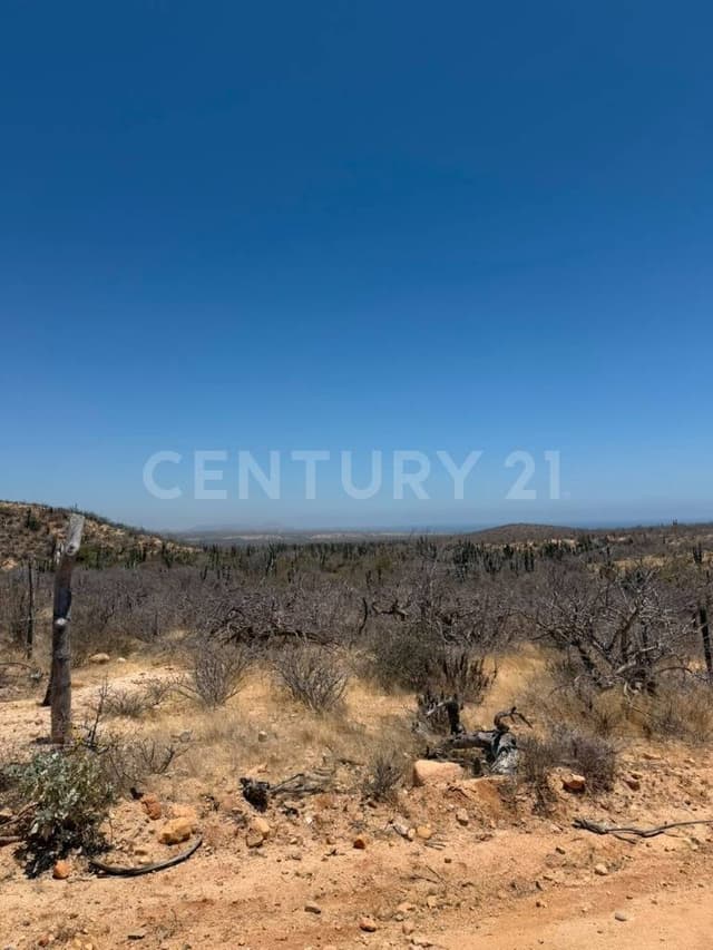 TERRENO LAS CHOYAS EN VENTA, AGUA BLANCA, BAJA CALIFORNIA SUR.