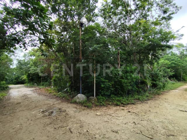 Terreno cerca de Avenida prolongación la Luna- Huayacán-Torres C4105