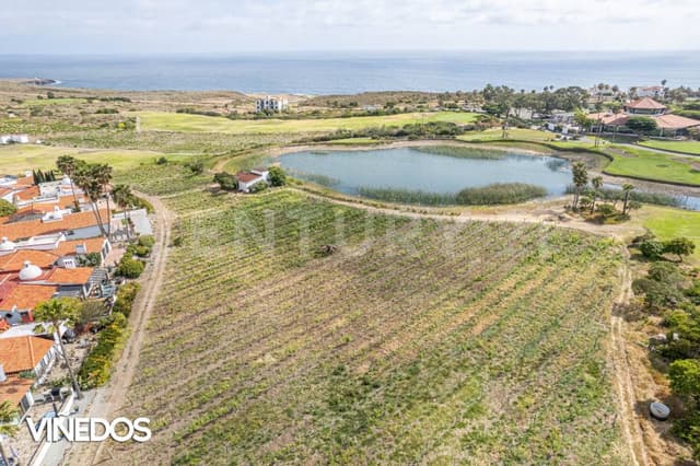 TERRENO EN PREVENTA EN BAJAMAR, ENSENADA B.C.