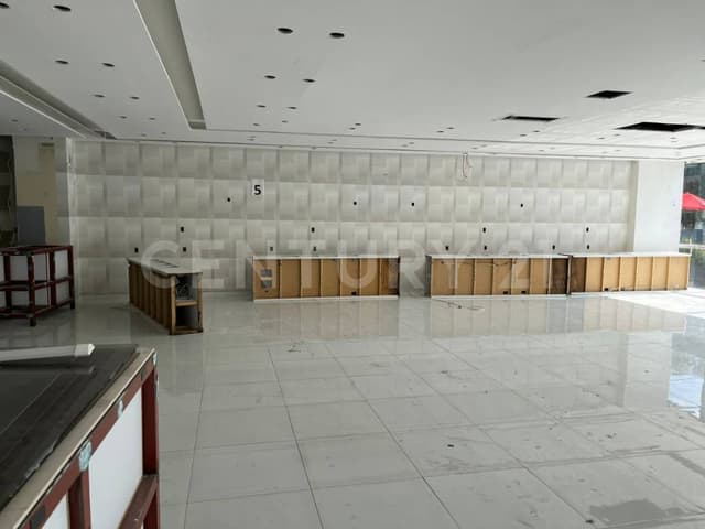 Local Comercial Avenida Paseo Palmas, Lomas De Chapultepec, Miguel Hidalgo, CDMX