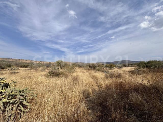 Terreno en venta en Estatal, Colón Querétaro México