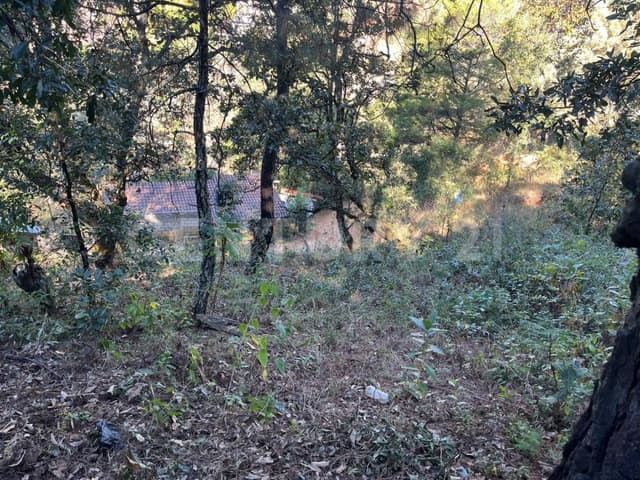 Terreno en venta con vista en San Gaspar 641 m2, $2,704,000 M.N.