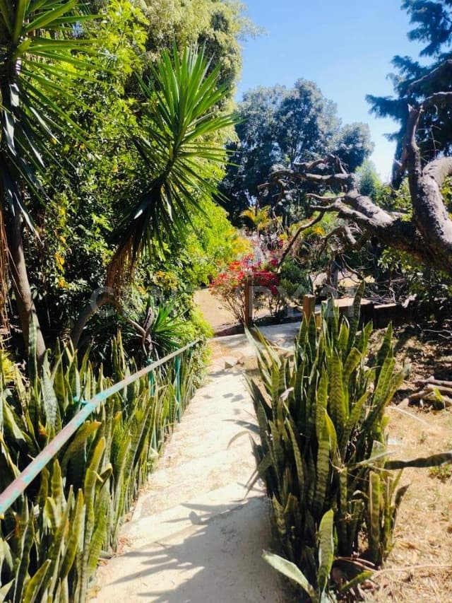 TERRENO EN VENTA, CAMINO DE ALARCÓN, AHUATEPEC, MORELOS.