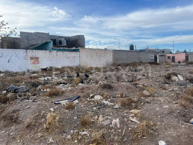 TERRENO EN VENTA EN AL NORTE COL. MINERAL