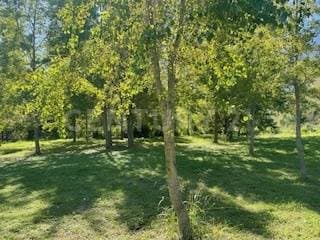 TERRENO EN VENTA EN EL BARRO EN SANTIAGO NUEVO LEON