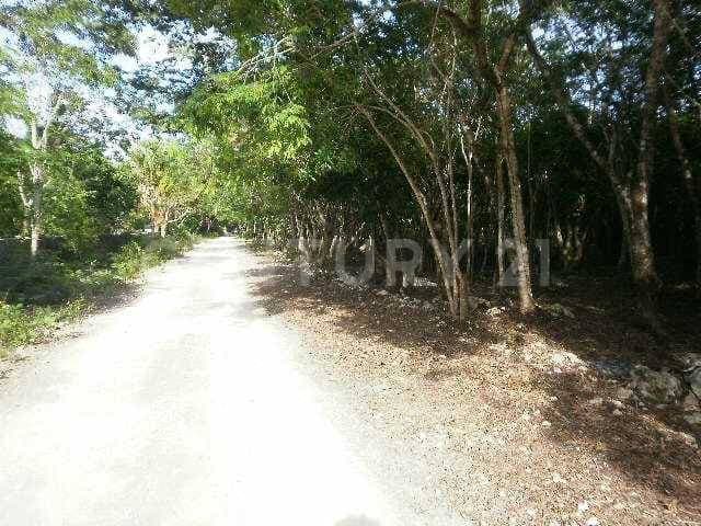 Terreno en Venta Zona Agropecuaria Super Manzana 160 Cancún Benito Juárez