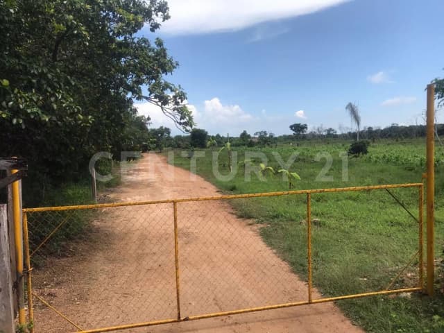 Terreno Ideal para Negocio Agropecuario cerca de Chetumal EM01921