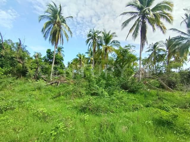 TERRENO EN VENTA EN EJIDO TRES PALOS, EN ACAPULCO, GUERRERO