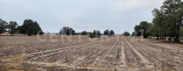 TERRENO EN VENTA UBICADO EN ZUMPANGO EDO DE MÉXICO.