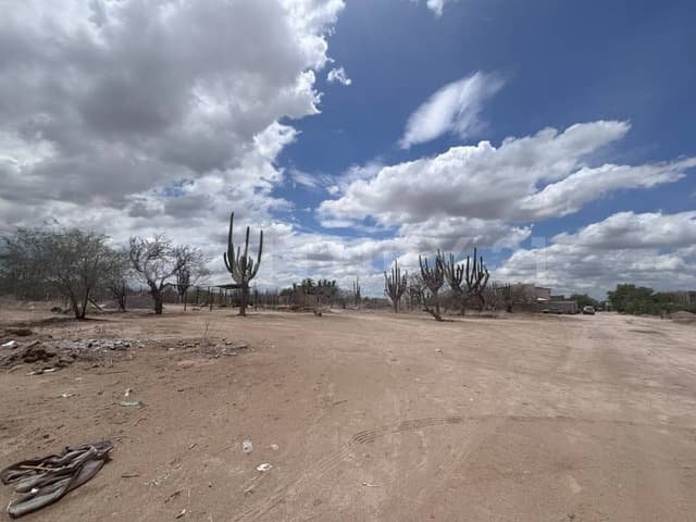 TERRENO EN VENTA EN LA PITAHAYA