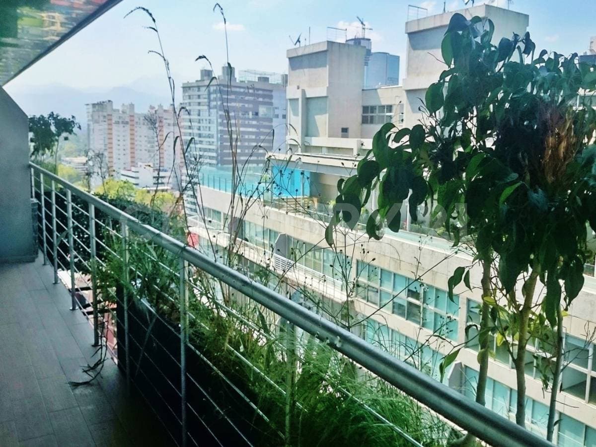 Fotos adicionales