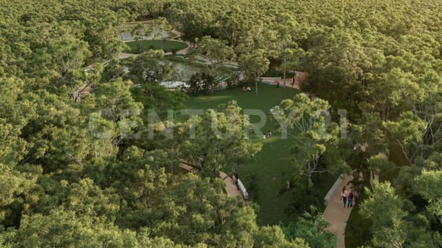 Frondeza en Cabo Norte: Lote Residencial Exclusivo de 1057.51m2