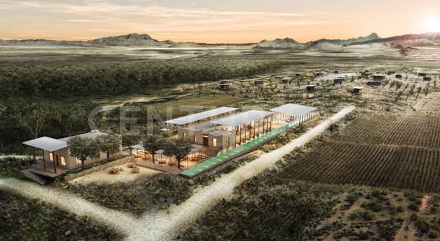 LOTE CAMPESTRE EN VENTA CON VIÑEDO | PAREDON, COAH.