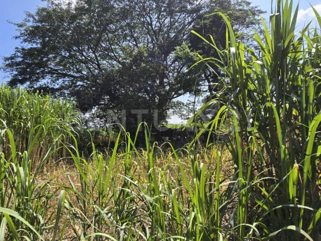 TERRENO PARA INVERSORES