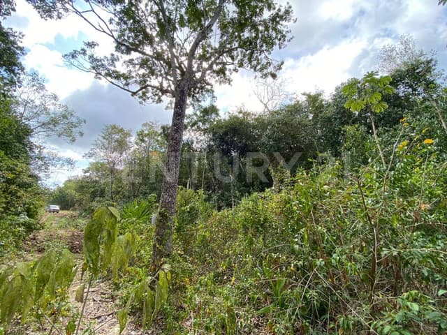 Terrenos en venta en Akumal , Playa del Carmen, Quintana Roo