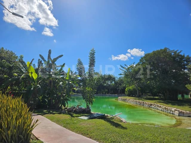 Terreno en Venta en Privada Carretera Mérida – Progreso, Yucatán.
