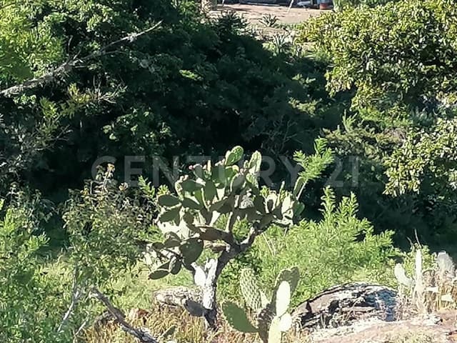 Terreno en Venta en Santa Lucia, San Juan del Río, Querétaro.