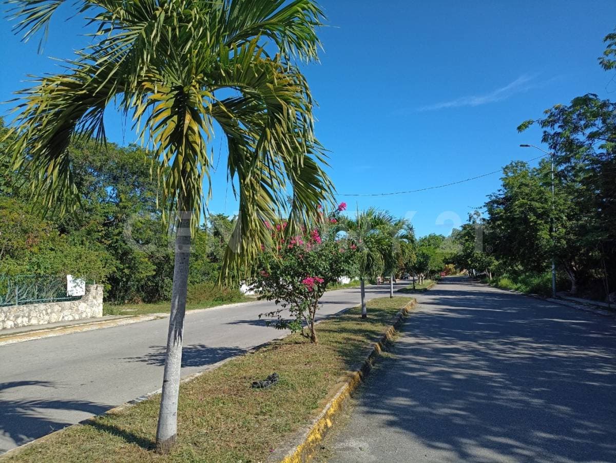 Fotos adicionales