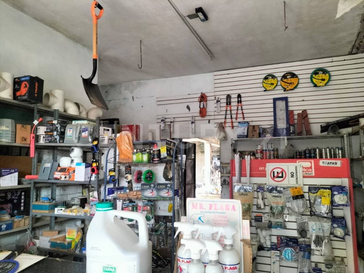 Fotos adicionales