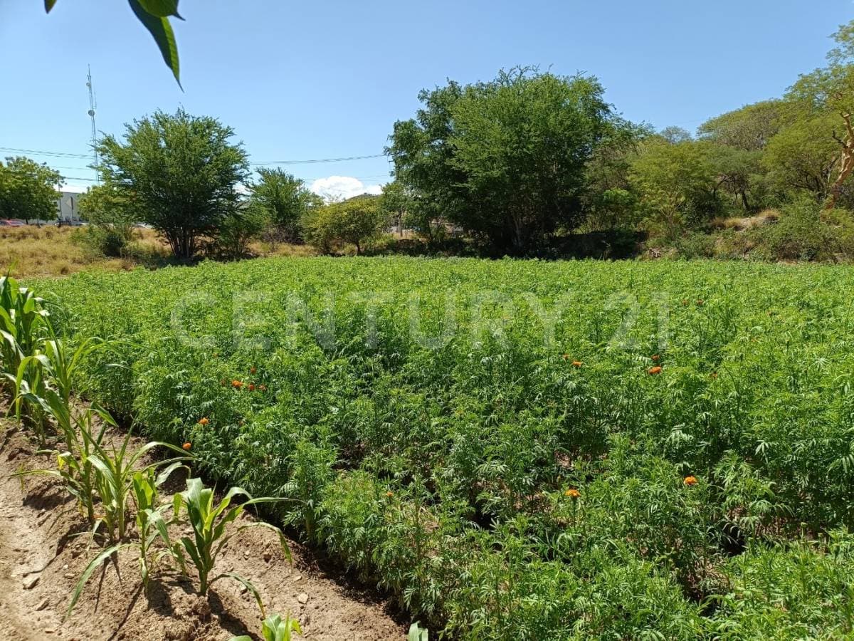 Fotos adicionales