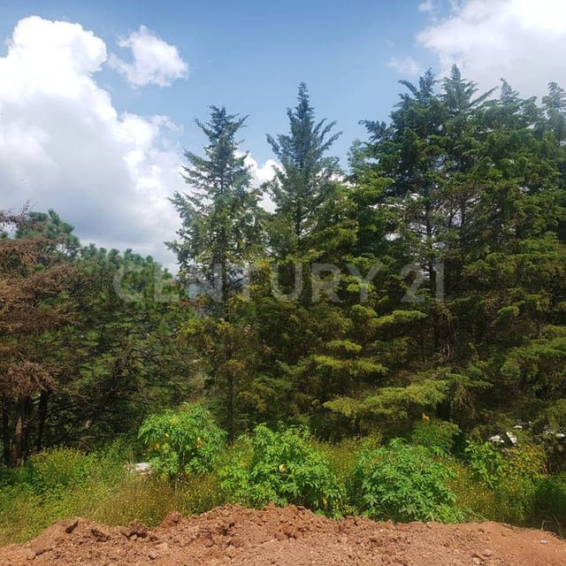 Terreno 1 en Loma Bonita, cerca del centro de Valle de Bravo
