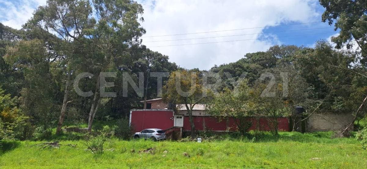 Fotos adicionales