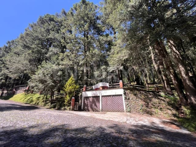 Se vende árbol de navidad con 3 chalets en Villa Alpina, Naucalpan, Edo. México